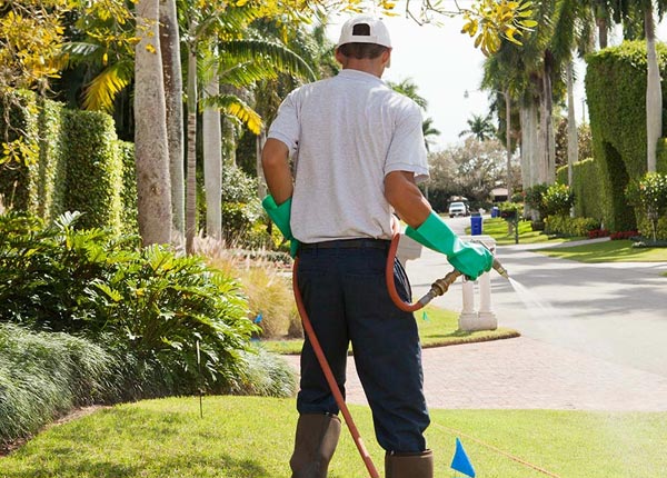About Tarzana CA Pest Control Pros